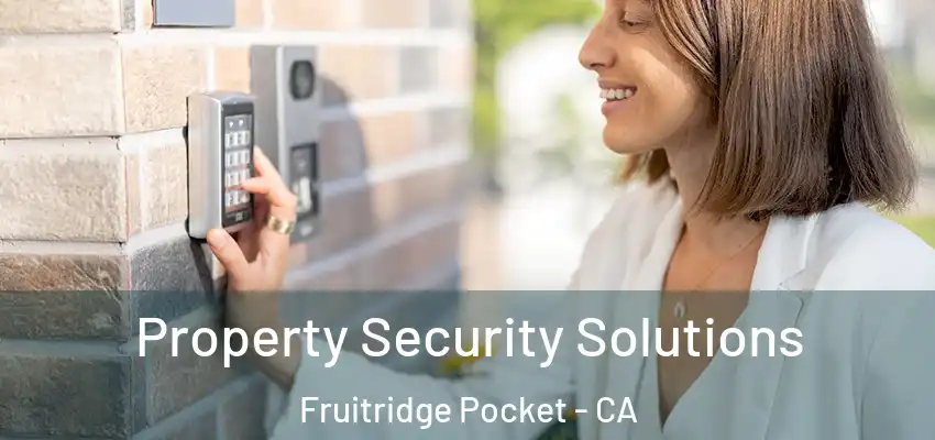  Property Security Solutions Fruitridge Pocket - CA